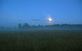 Вечер. Туман на лугу. Луна